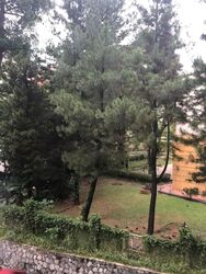 Cavenagh Gardens (D9), Apartment #554057391